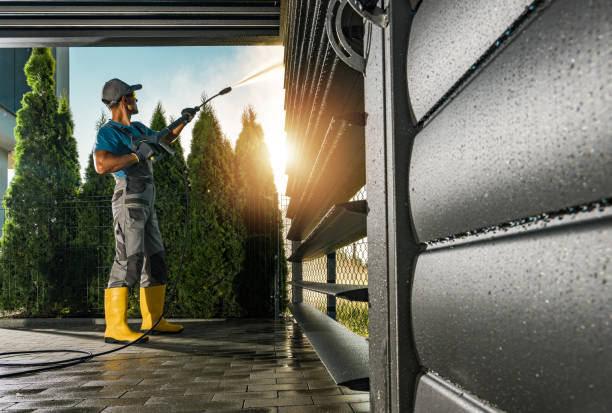Best Roof Power Washing Services  in Pearl Beach, MI