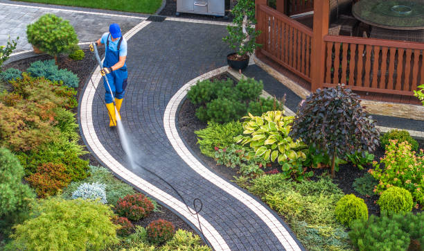 Best Best Pressure Washing Companies  in Pearl Beach, MI