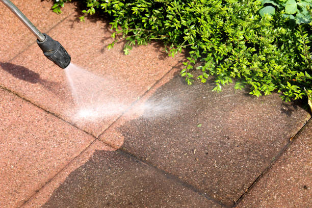 Best Residential Pressure Washing Services  in Pearl Beach, MI